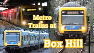 Metro Trains at Box Hill [upl. by Sethrida21]