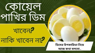 কোয়েল পাখির ডিমের উপকারিতা ও অপকারিতাযেনে নিন এই ডিম খেলেkoel pakhir dimer upokarita and opkarita [upl. by Vinni205]