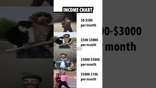 income chart [upl. by Martelli289]