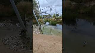 Waterscapes Aviary Slimbridge WWT [upl. by Euqinobe]