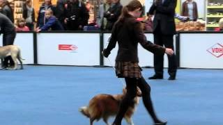 Ponyhügel Amira siegt mit Alice im Juniorhandling Hannover 241015 [upl. by Kosey]