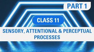 Chapter 5 Sensory Attentional and perceptual process part 1 Class 11 psychology  By PKT [upl. by Mommy]