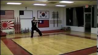 Tang Soo Do Karate Forms [upl. by Halfon213]