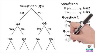 Science Teaching  The Ultimate Guide to Constructing a Dichotomous Key  ACSSU111  VCSSU091 [upl. by Edla]