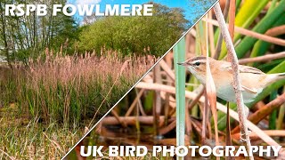 UK Bird Photography  RSPB Fowlmere [upl. by Athalee]