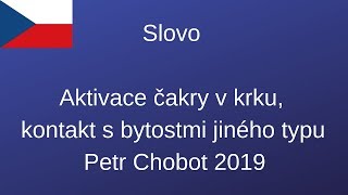 Petr Chobot  Kontakt s bytostmi jiného typu aktivace čakry v krku 2019 [upl. by Amehr]