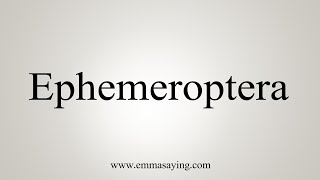 How To Say Ephemeroptera [upl. by Isidore]