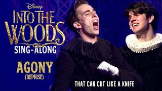 Into the Woods  Agony Reprise  SingAlong [upl. by Prinz]