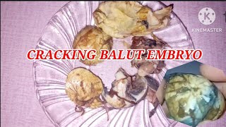 CRACK BALUT🥚🦆EGG EMBRYO EXOTIC FOOD EGGBALUT [upl. by Shedd629]