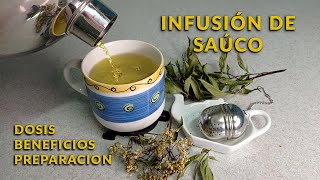 Cómo preparar infusión de saúco  beneficios y precauciones  un té con Daniela [upl. by Plunkett]