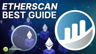 How To ACTUALLY Use Etherscan  Beginners Complete Tutorial [upl. by Miharba30]