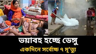 একদিন সাত জনের মৃত্যু। ভয়াবহ হচ্ছে ডেঙ্গু। Dengue situation bangladesh [upl. by Hna]