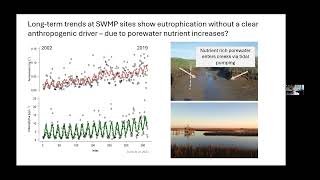 Evaluating spatial patterns in salt marsh biogeochemistry [upl. by Gurney]