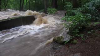 Ilsenburg Hochwasser im Harz [upl. by Devon]