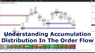 Recognizing Accumulation And Distribution In The Order Flow With Orderflows Trader 7 For NinjaTrader [upl. by Hacim426]