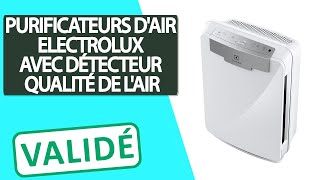 Avis Purificateurs dair avec Détecteur de la qualité de lair Electrolux [upl. by Fasa]