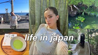 japan vlog 🧸  visiting kamakura bamboo cafe unboxing blind boxes ghibli museum [upl. by Carper]