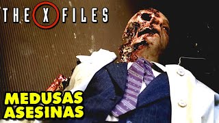 SI TRANSPIRAS TE COMEN LAS MEDUSAS CARNIVORAS  Resumen XFILES o Expedientes X [upl. by Shewmaker]