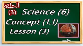 Science 6 Concept 11 Lesson 3 [upl. by Learsi73]