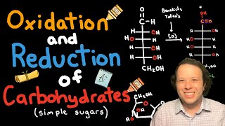 Oxidation and Reduction of Carbohydrates  Nomenclature Explained [upl. by Lougheed]