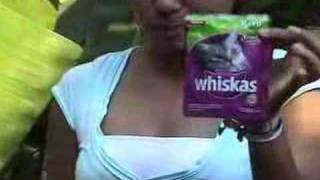 Comercial whiskas [upl. by Ruelu]