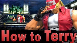 Smash Ultimate How to Terry [upl. by Nashner]