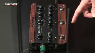 Fishman ToneDEQ Guitar Preamp Effects and EQ Pedal Review by Don Carr [upl. by Nananne]