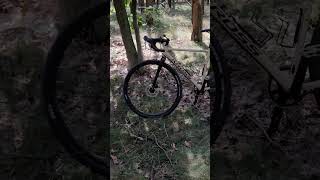 Kross Esker 40 in forest forest nature kross esker gravel bike [upl. by Navoj]