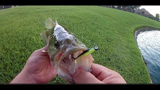 Stormy SkiesTight Lines Fishing Through a Storm for Feisty Bass [upl. by Aierb]