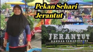 Pekan Sehari JerantutSyurga ulam ulaman dan sayur kampung [upl. by Ahselef]