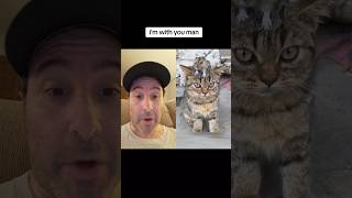 Mouse sits on Cats head funnycatvideos funnycats funnyshortsvideo funnyreaction reaction [upl. by Arakal355]