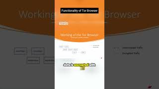 Functionality of Tor Browser TorBrowser OnlinePrivacy Anonymity [upl. by Harimas428]