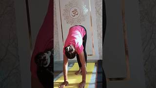 Shirshasana for beginners yogawithpahalluxmi yoga youtubeshorts improveflexibility viralshorts [upl. by Anyr]