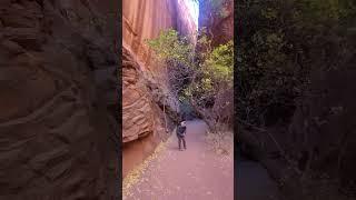 Singing Canyon in Utah Superb [upl. by Agiaf645]