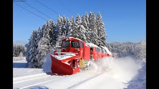 218 456 beim Winterdienst im Schwarzwald 15  16012021 [upl. by Ellirehs]