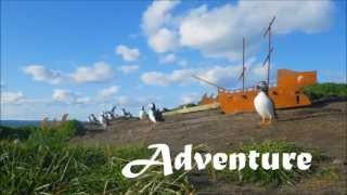 Pirate Puffins  Trailer [upl. by Thorfinn]