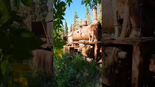 ENCONTRAMOS TRENES ABANDONADOS EN LAS SIERRAS DE CORDOBA  ferrocarril trenesargentinos [upl. by Ginnifer]