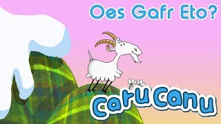 Caru Canu  Oes Gafr Eto Welsh Childrens Song [upl. by Yolane337]