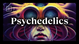 Psychedelics Can they solve the ‘hard problem’ of consciousness  Matthew Johnson [upl. by Ahtanaram997]