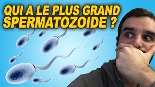 QUI A LE PLUS GRAND SPERMATOZOÏDE [upl. by Robena641]