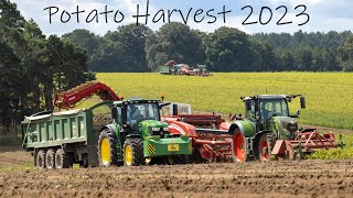 Harvesting Potatoes for McDonalds 2023  Elveden Farms [upl. by Nairot]