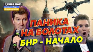 🌰 У Путина больше нет ОРЕШКОВ Брянск Курск Белгород  РЕФЕРЕНДУМУ БЫТЬ [upl. by Odrahcir]