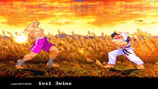 Sagat vs Shin Ryu  MUGEN 1vs1 [upl. by Pennie780]