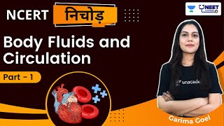 Phoenix 20 Biology Most Important Video for NEET 2025  Unacademy NEET Toppers  Udaan [upl. by Seerdi]