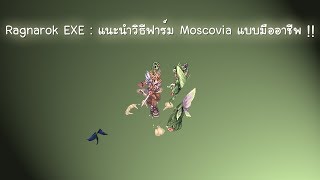 Ragnarok EXE  แนะนำวิธีฟาร์ม Moscovia แบบมืออาชีพ [upl. by Doomham280]