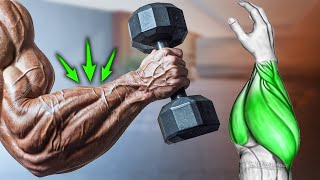 Build Huge Forearms Grow Fast 5 Effective Exercise [upl. by Shirleen]