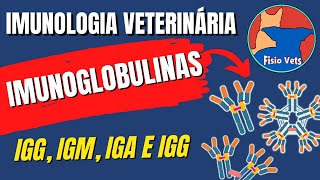 Imunoglobulinas anticorpos igG igM igA e igE  Estrutura e Função  Imunologia veterinária [upl. by Alber787]