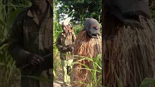 Koma tribe Fertility God dances during ceremony  Cameroon shorts cameroon africantribe [upl. by Ozne401]