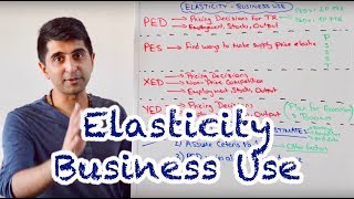 Y1 15 Elasticity  Business Use and Limitations [upl. by Harday385]