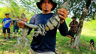 EL MEJOR GARROBERO DE EL SALVADOR ATRAPA UN GARROBO ENORME Y UNA IGUANA [upl. by Marybelle619]